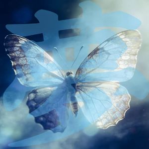 梦蝶梦醒梦中人(1)