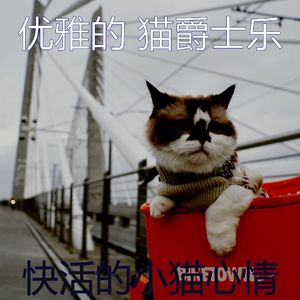 柔和的小猫时刻