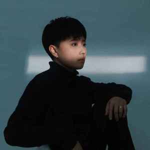 曾经有个傻子爱过你 (DJ 阿树版)