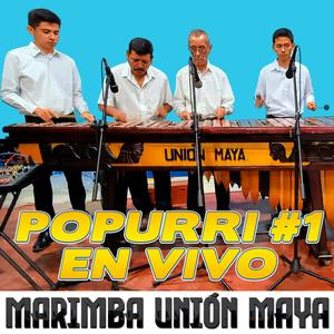 Popurri 1 En Vivo (El Tacuazin/ El Caitudo/ Chicha Fuerte/ El Frijolito) (En vivo)