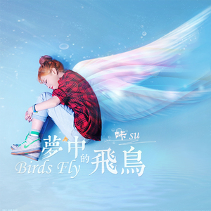 Birds fly（梦中的飞鸟）