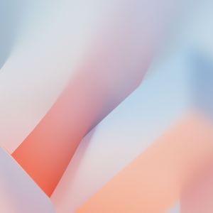 柳絮纷飞的回忆