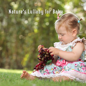 The Woodland Rhapsody