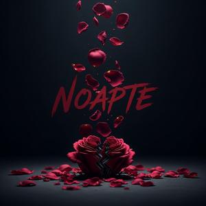 Noapte