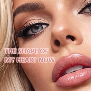 The Shape Of My Heart Now (Piano)