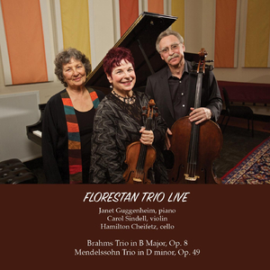 Piano Trio No. 1 in D Minor, Op. 49: II. Andante con moto tranquillo (Live)