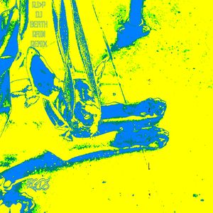 R.I.P. DJ BITCH RAIN (Remix)