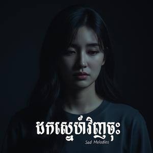 ដកស្នេហ៍វិញចុះ