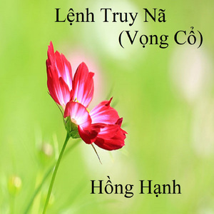 Anh Ba Khía (Tân Cổ) 2