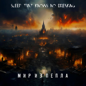 Мир из пепла