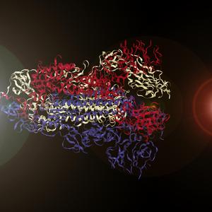 Sonification of the Coronavirus Spike Protein (Amino Acid Scale)