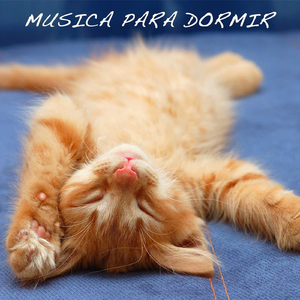 El Silencio de los Ángels (Música Ambiental)