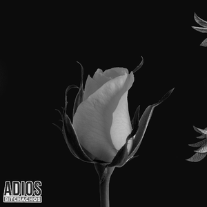 galaxy Pt.2(prod.GC)