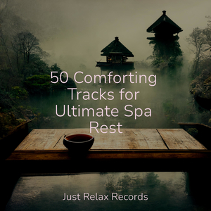 Solitary Watchman's Lament