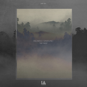 The Purist II (Original Mix)