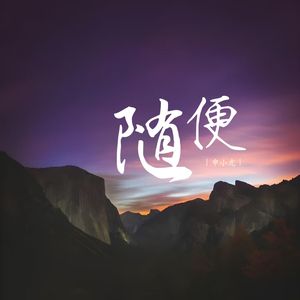 随便