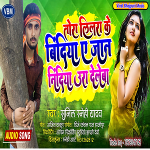 Tora Lilra Ke Bindiya Aye Jan Nindiya Ura Dele Ba