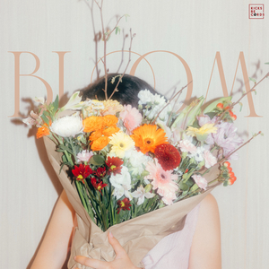 Bloom