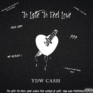 To Late To Feel Love (feat. MyMy & YNB Kiwi)