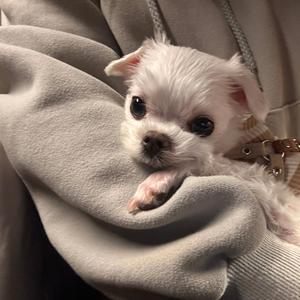 중독성 쩌는 간식타임