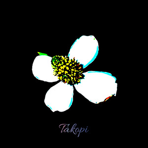 タコピー