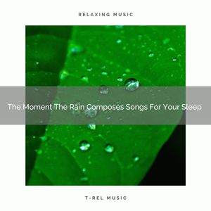 Claming Noise For Come Back, Loneliness, And So Much More