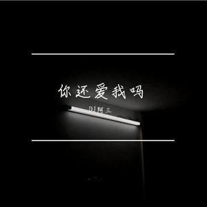 你还爱我吗（DJ阿三 remix）