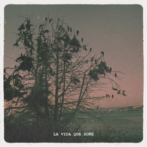 La Vida Que Soñé