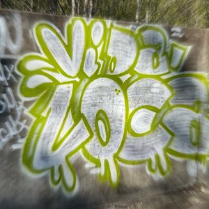 Vida Loca