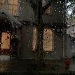 Rain (Prod by 房间里的大象)