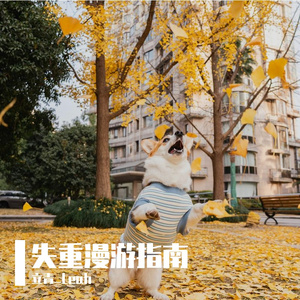 你把我当过客 我把你当归人