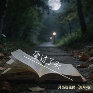 爱过了头