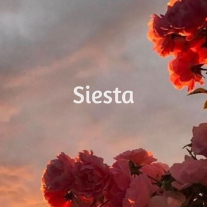 Siesta