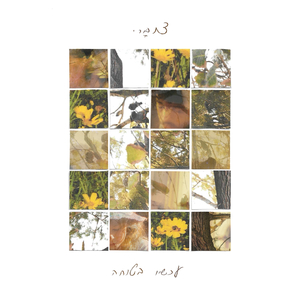 עכשיו בטוחה