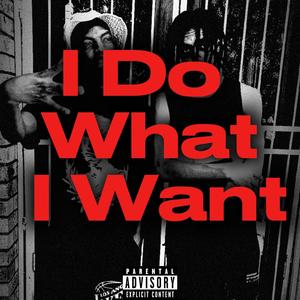 I Do What I Want (feat. SdmGhost)