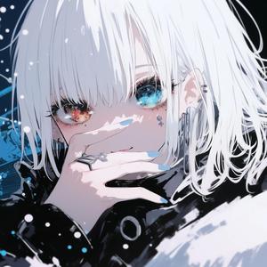 星降る夜の願い｜별이 쏟아지는 밤의 소원｜Wish Upon a Star｜星夜許願