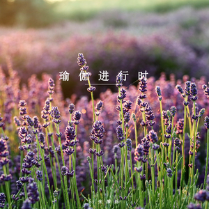 舒展身心