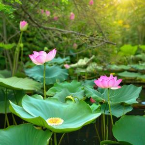 地藏王菩萨超度心咒 (大愿版)