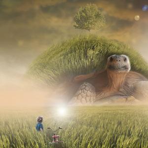 아기잠 (베이비 엔젤)