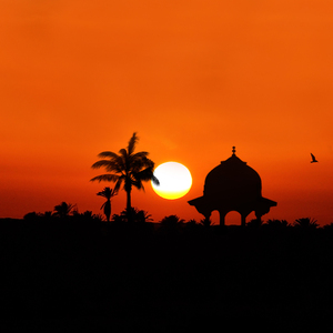 有些小人发神经