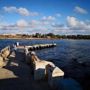 左右《狐妖小红娘两生花篇片尾曲翻唱》