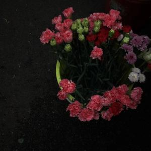 果语茶（Prod.by #Rye/NO_BORDER）