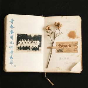 青春要用几行诗来写