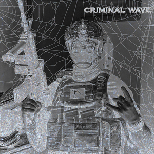 Criminal Wave