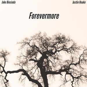 Forevermore (feat. Justin Houke)