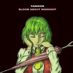 千年幻想郷 ~ History of the Moon