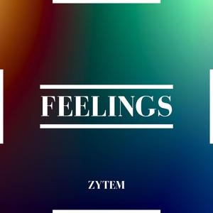 Feelings