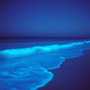 Azure Horizon（蔚蓝地平线）