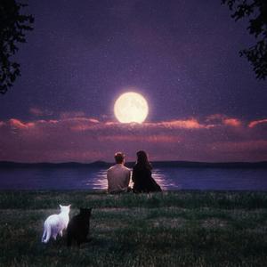 Snowfall – Cinematic