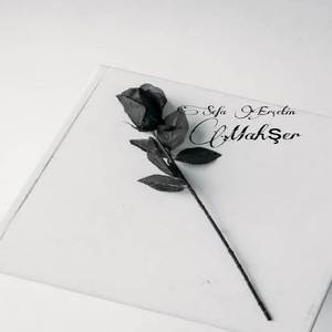 Sefa Ercetin mahşer 2